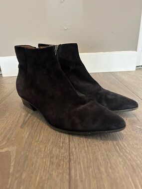 Aquatalia Ulyssaa suede ankle boots | Black